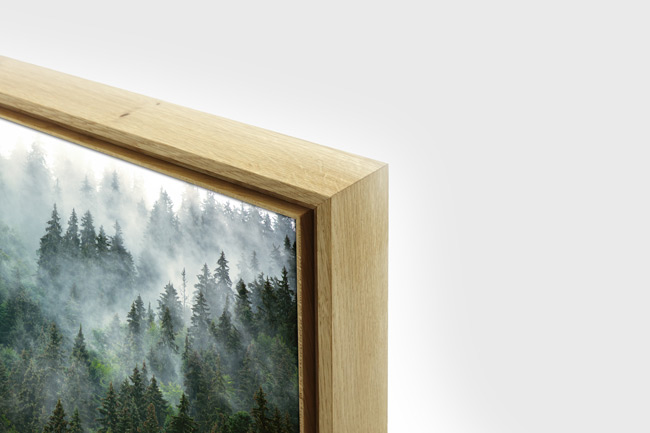 Holzrahmendesign SF 50