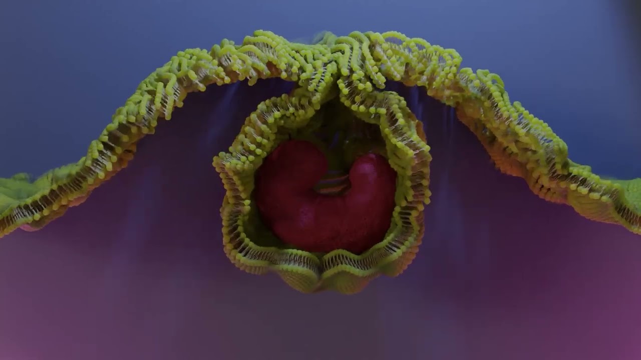 Bild Referenzvideo Beispiele für 3D Animation
