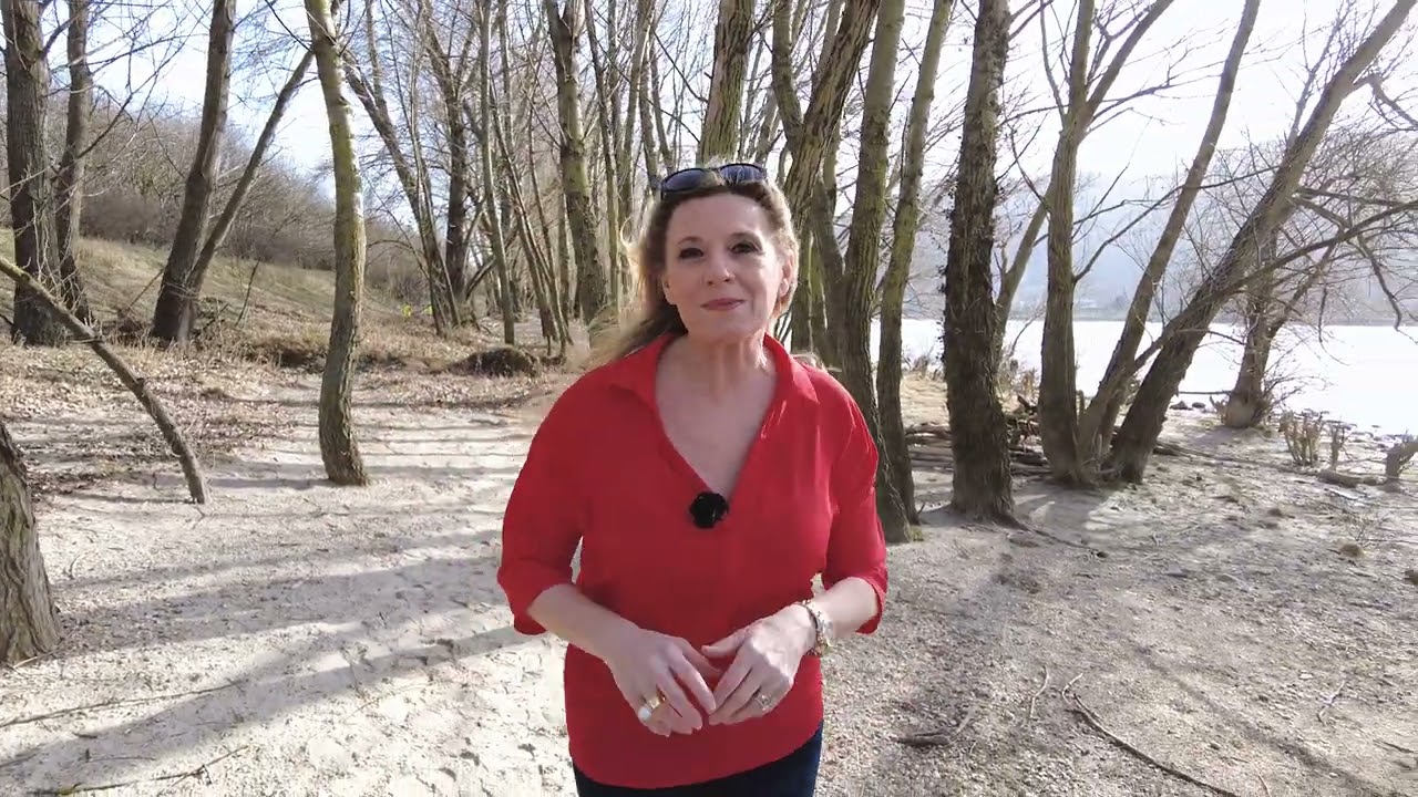 Bild Referenzvideo Serielles Videoformat für Christa Kummer 1