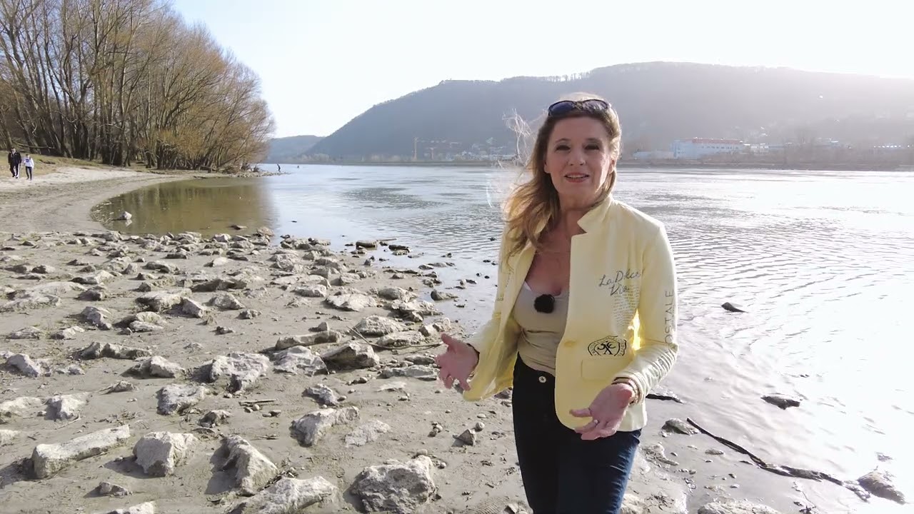 Bild Referenzvideo Serielles Videoformat für Christa Kummer 2